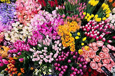 费米实验室科研团队发现更多间接证据 证明存在第五自然力