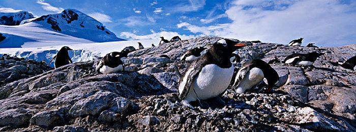 《刀剑乱舞无双》公布新角色情报 第二部队队长“歌仙兼定”