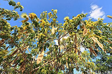 PS5商店首页新增“新游戏”页面 查看新作更快捷